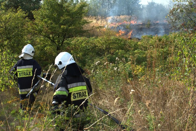 Gaszenie nieużytków pod Wierzbicą.