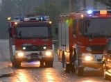 Gmina Potworów: podpalenie lasu w miejscowości Długie