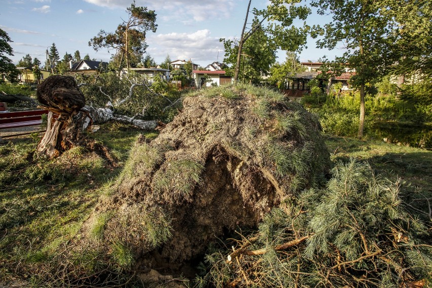 Skutki sierpniowej nawałnicy w Borach Tucholskich