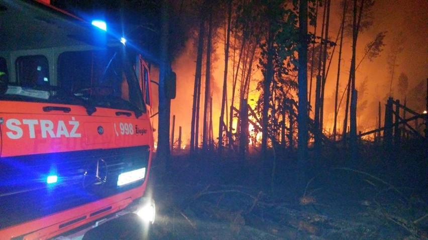 Duży pożar lasu w Dziemianach