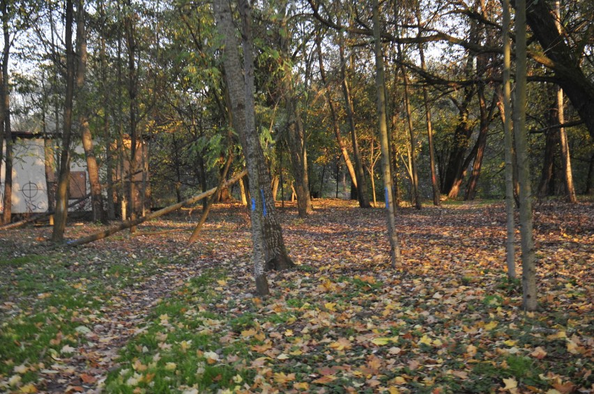 Kraków. Park Duchacki na nowo. Teren już za ogrodzeniem [ZDJĘCIA]