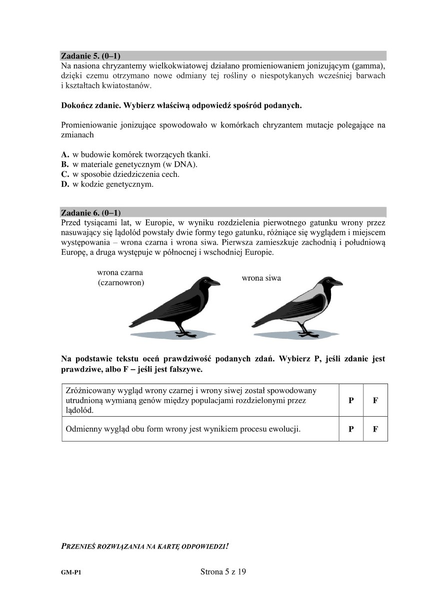 Egzamin gimnazjalny 2019 PRZYRODA. Odpowiedzi i arkusz pytań CKE - część matematyczno-przyrodnicza w serwisie EDUKACJA. Co było? ZADANIA