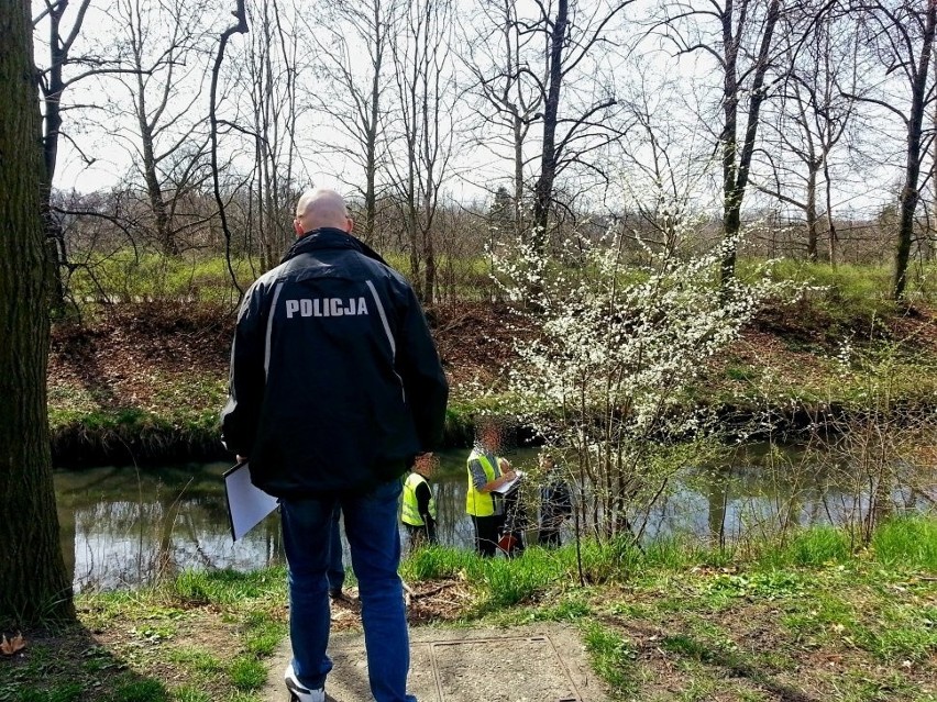 Wizja lokalna z udziałem podejrzanego o zabójstwo