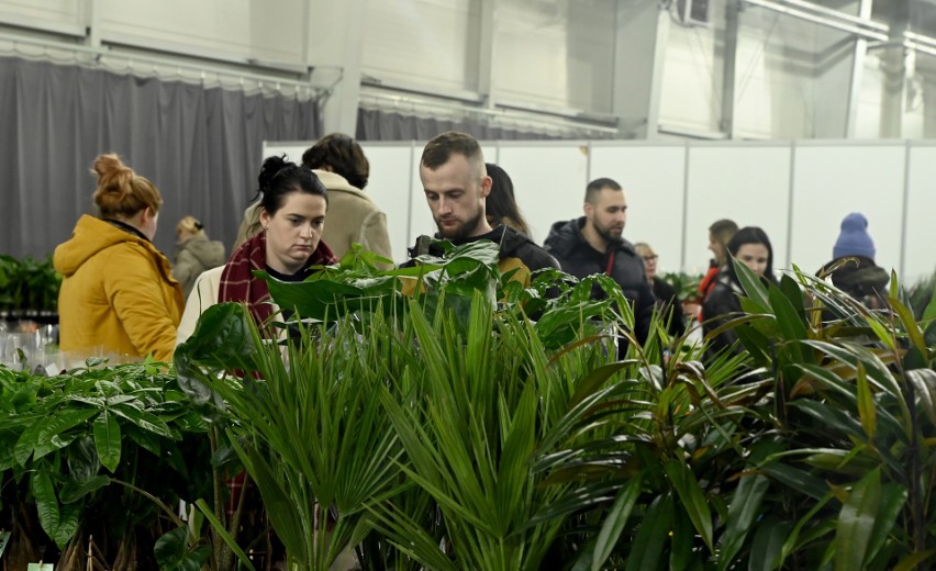 Kraków. Były zwierzęta dzikie i egzotyczne. Giełda Terrarystyczna i Botaniczna przyciągnęła tłumy krakowian ZDJĘCIA