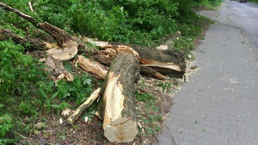 Silny wiatr w powiecie rybnickim. Ponad 24 interwencje straży pożarnej! 