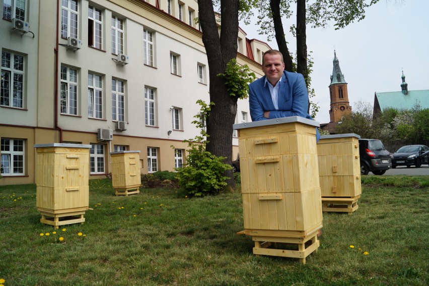 Przy olkuskim starostwie stanęło pięć uli. Wkrótce pojawią się też pszczoły