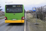 Przystanek autobusowy w Poznaniu niebezpieczny dla pasażerów. Nie ma chodnika ani przejścia dla pieszych. Czy i kiedy to się zmieni?