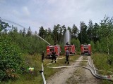 Ćwiczenia taktyczno-bojowe w leśnictwie Ogonki. Strażacy doskonalili swoje umiejętności