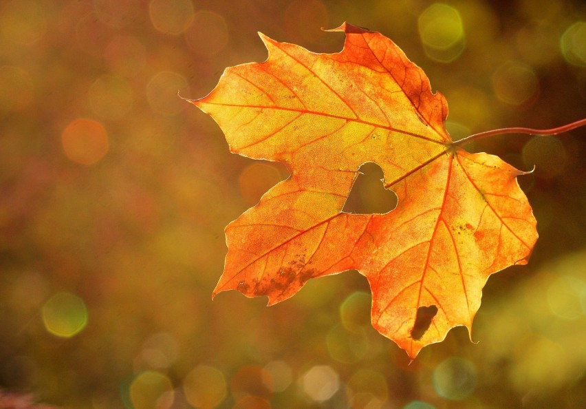 Równonoc jesienna rozpoczyna kalendarzową jesień
