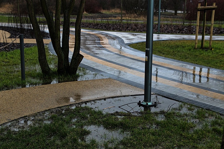 Wystarczą niezbyt intensywne opady deszczu, by w Parku...