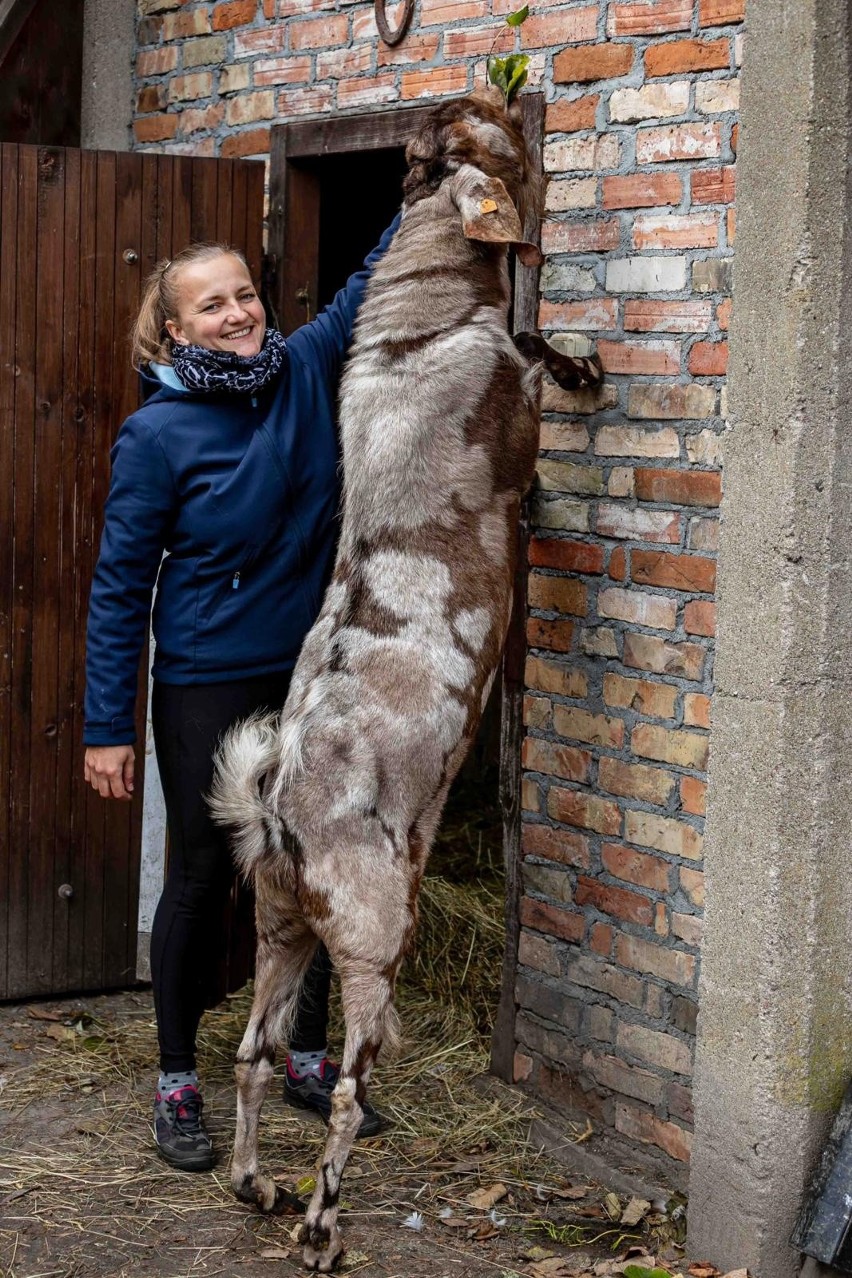 Odwiedziliśmy Ranczo Laszki. Zobacz zachwycające zdjęcia ze...