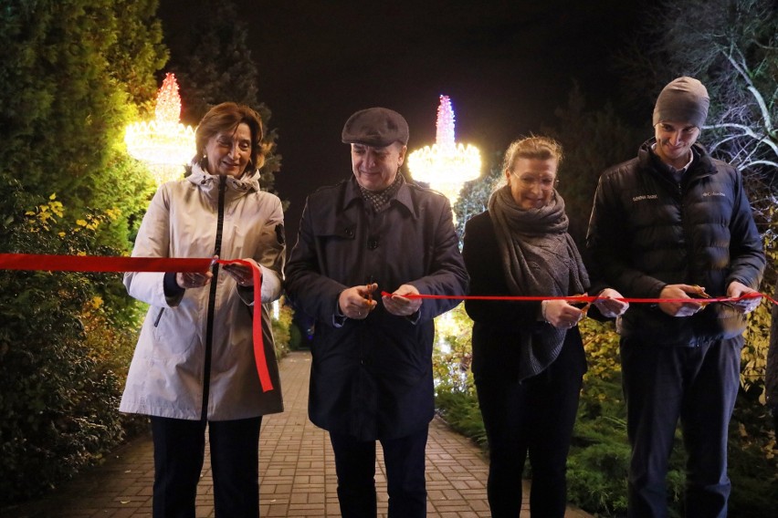 Ogród Botaniczny zmienił się w Park Iluminacji. Lumina Park w Lublinie. Zobacz zdjęcia 