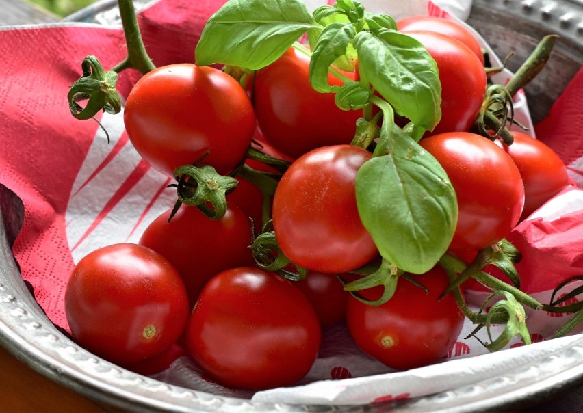 Z pomidorów powinny też zrezygnować osoby chorujące na dnę...
