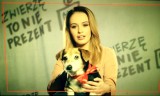 „Zwierzę to nie prezent” – kampania społeczna z udziałem gwiazd z Kielc