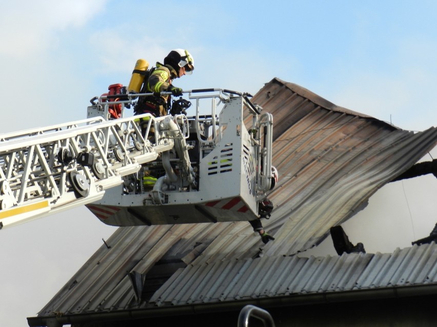 19 zastępów straży gasi pożar stodoły w Ligocie Wołczyńskiej