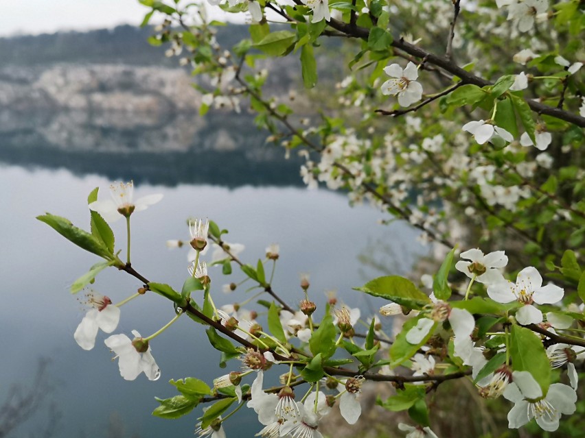 Kraków. Na Zakrzówku trwają prace przy budowie plaży i kąpieliska [ZDJĘCIA] 