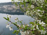 Kraków. Na Zakrzówku trwają prace przy budowie plaży i kąpieliska [ZDJĘCIA] 