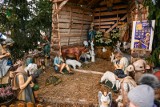 Bożonarodzeniowe żłóbki ze Świętą Rodziną stanęły w bydgoskich parafiach [zdjęcia]