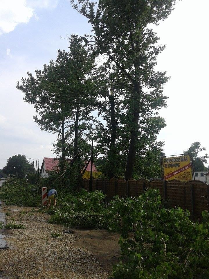 Potężny wiatr łamał gałęzie drzew jak zapałki.