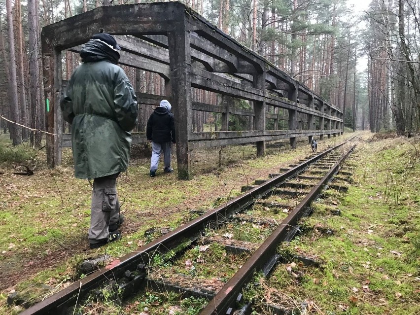 Wiata maskująca zespołu kolejki wąskotorowej, który...