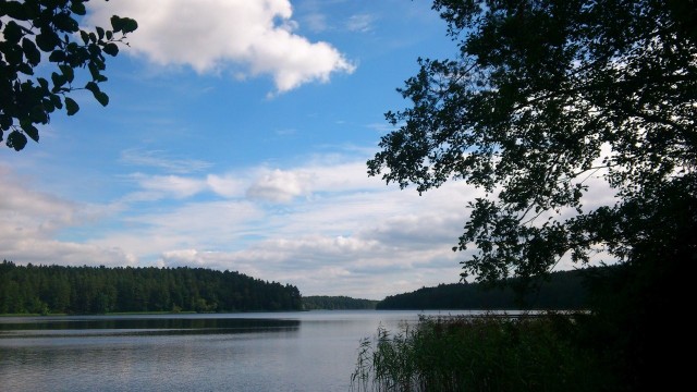 Jezioro w Niepoględziu.