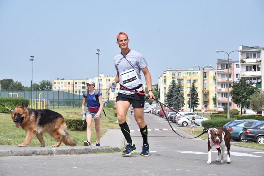 Dogtrekking z Lafarge w Barcinie. Uczestnicy pobiegli z psami dla inowrocławskiego schroniska [zdjęcia, wideo]