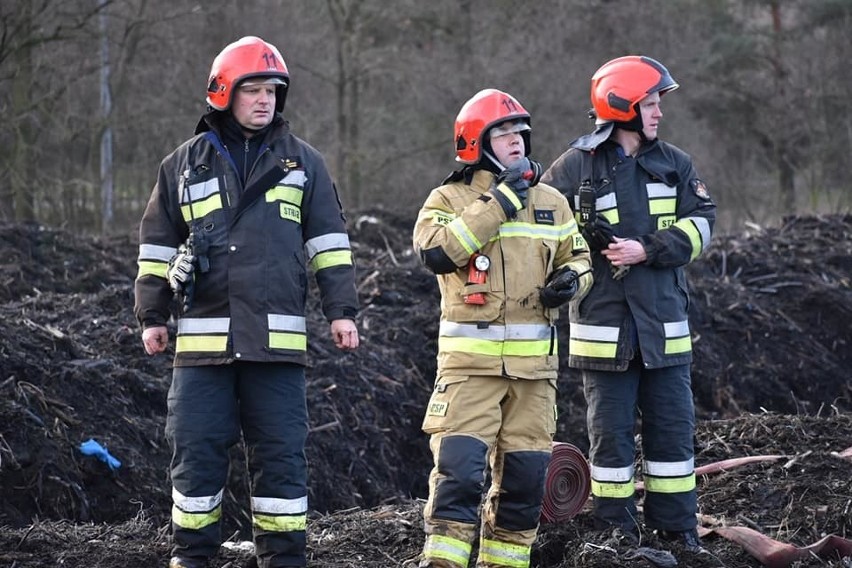 Wielki pożar na terenie oczyszczalni ścieków na Polesiu. W akcji 11 zastępów straży pożarnej ZDJĘCIA