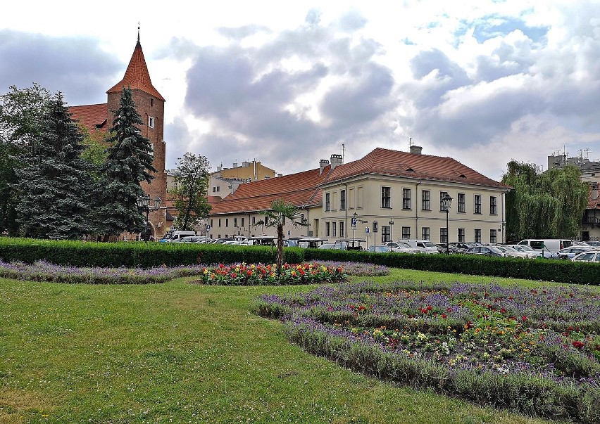 Kraków. Kwitnący dywan lawendy przed Teatrem Słowackiego [ZDJĘCIA]