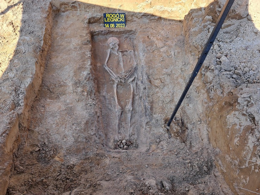 Na szczątki 34 osób natrafili archeolodzy na polu uprawnym w...