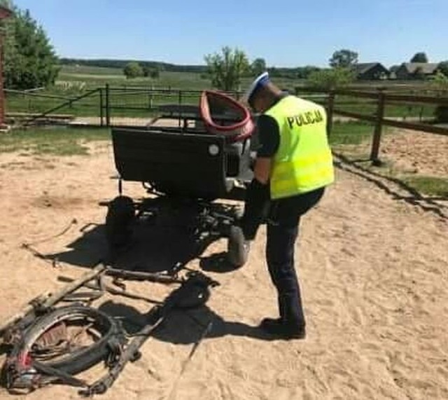 Wypadek na drodze Jasienówka - Żurobice. Przewrócił się wóz ciągnięty przez konie. Przedszkolaki trafiły do szpitala