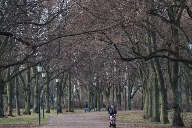 Jednym z parków w którym w nocy gasną latarnie jest park im. Poniatowskiego w Łodzi.