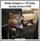 Memy o pracy zdalnej w czasach koronawirusa. Zobacz najśmieszniejsze obrazki o pracy w domu [27.01.2021]