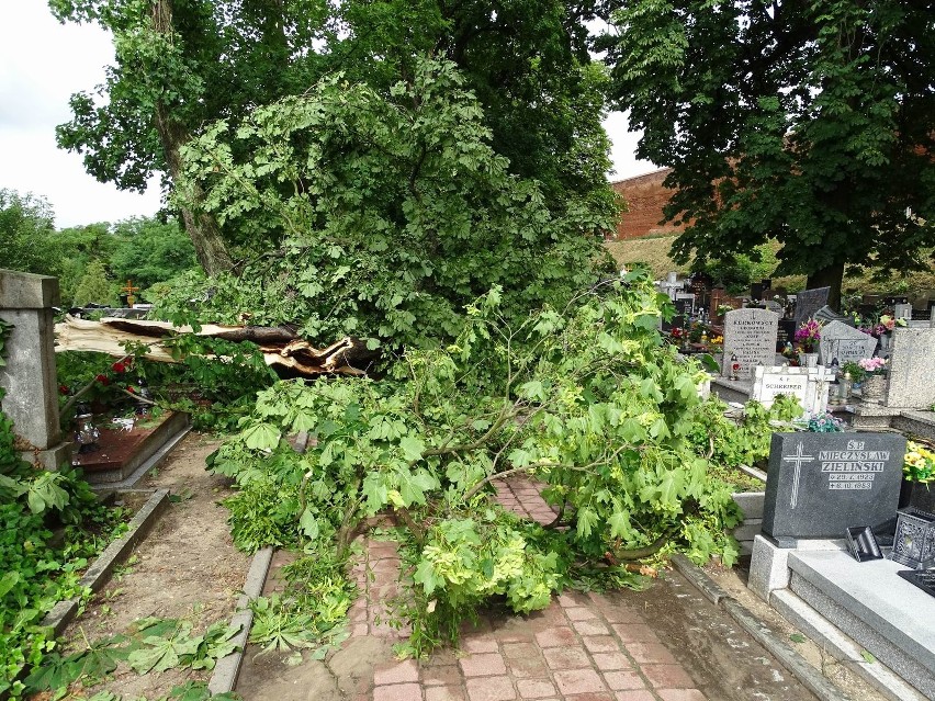Trwa usuwanie skutków silnego wiatru w Chełmnie