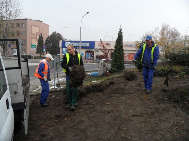 Pracownicy uprzątnęli już rondo przy Zebrzydowickiej