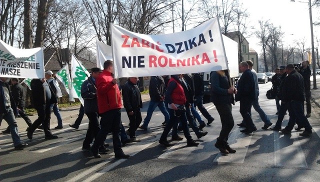 Rolnicy w ramach protestu chodzili po pasach w rejonie mostu na Odrze w Głogowie.