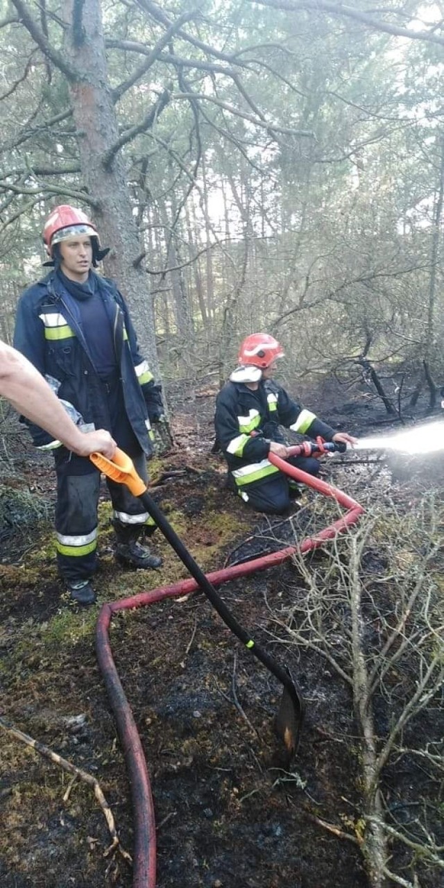 Ponad 5 godzin gasiły go straże z Helu, Jastarni, Gnieżdżewa, Jastrzębiej Góry i Pucka