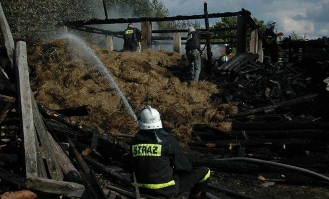 W pożarze brało udział pięć zastępów ochotniczej straży pożarnej i jedna jednostka strażaków zawodowych.