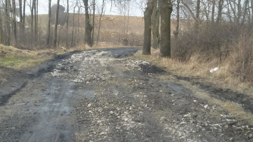 Na drodze łączącej Nicwałd z Dąbrówką Królewską jest błoto, a na asfalt nie ma pieniędzy [zdjęcia]