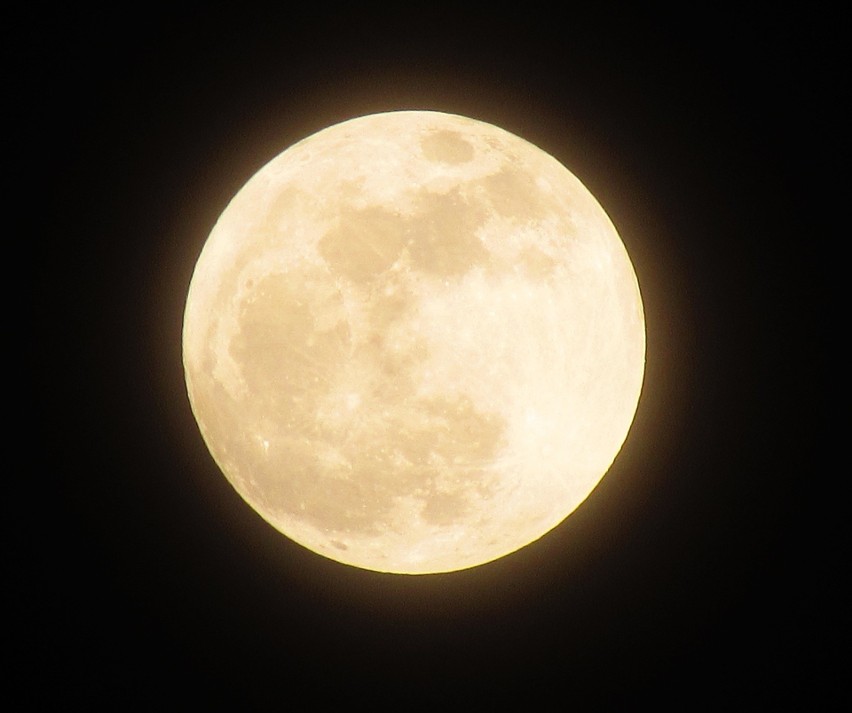 Astronomiczna wiosna 2019. Zobacz Pełnię Robaczego Księżyca! 20 marca rozpoczyna się astronomiczna wiosna!