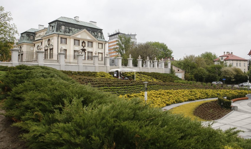 Rzeszów tonie w kwiatach. To wzbudza zachwyt wśród odwiedzających miasto [ZDJĘCIA]