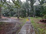 Park na Rokosowie w Koszalinie zamknięty do odwołania 