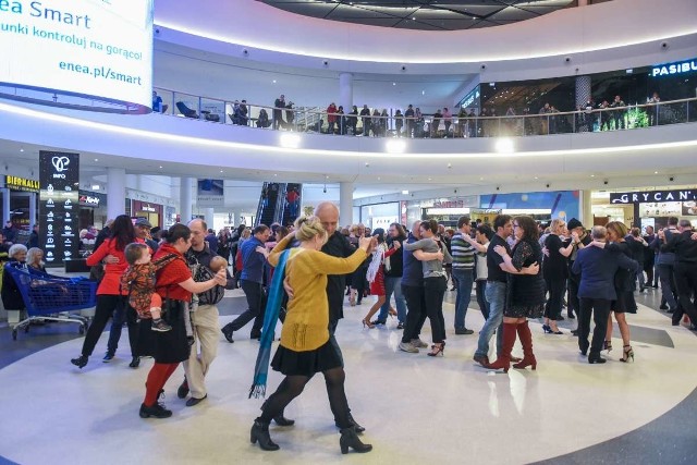 11 grudnia to Międzynarodowy Dzień Tanga – święto miłośników muzyki, tańca, śpiewu i kultury z Buenos Aires. Z tej okazji w hallu galerii handlowej Posnania odbył się wyjątkowy flashmob, w czasie którego Tomasz Citak Tango Trio oraz tancerze Iwona Piwońska i Grzegorz Kałmuczak zaprosili wszystkich do wspólnej zabawy w żywiołowym rytmie tanga! Zobacz zdjęcia ----->