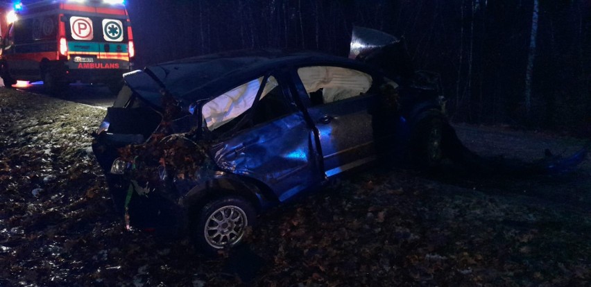 W lesie w Brzeźnicy k. Radłowa samochód uderzył w przydrożne...