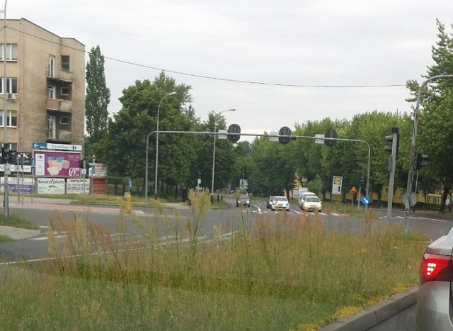 Tak wygląda ulica Lwowska przy skrzyżowaniu z Podgórną w Zielonej Górze. Chwasty sięgają nawet do pasa. Nie lepiej jest również na Trasie Północnej - pisze Czytelniczka.