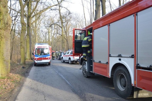 Do tragicznego wypadku doszło w środę, 27 grudnia. Jadący od strony Goli opel vectra z nieustalonych przyczyn zjechał z drogi i wbił się w drzewo.W środku uwięziony był 26-letni kierowca. Rozbity samochód stanął w płomieniach. Na pomoc rzucili się inni kierowcy, w tym grupa żołnierzy z 4 Batalionu Inżynieryjnego w Głogowie. Gaśnicami opanowali płomienie, które dogasili przybyli na miejsce strażacy. Żeby wydostać ze środka kierowcę ratownicy musieli użyć ciężkiego sprzętu. Mężczyzna trafił do karetki. Jak dowiedzieliśmy się od policjantów, kierowca był nieprzytomny. Przewieziono go do szpitala w Głogowie. Niestety, lekarzom nie udało się go uratować. Policja wyjaśnia przyczyny wypadku. Na drodze nie było widać śladów hamowania.Czytaj też: Wypadek na S3. 93-letni kierowca jechał pod prądZobacz najnowszy odcinek Kryminalnego Czwartku: