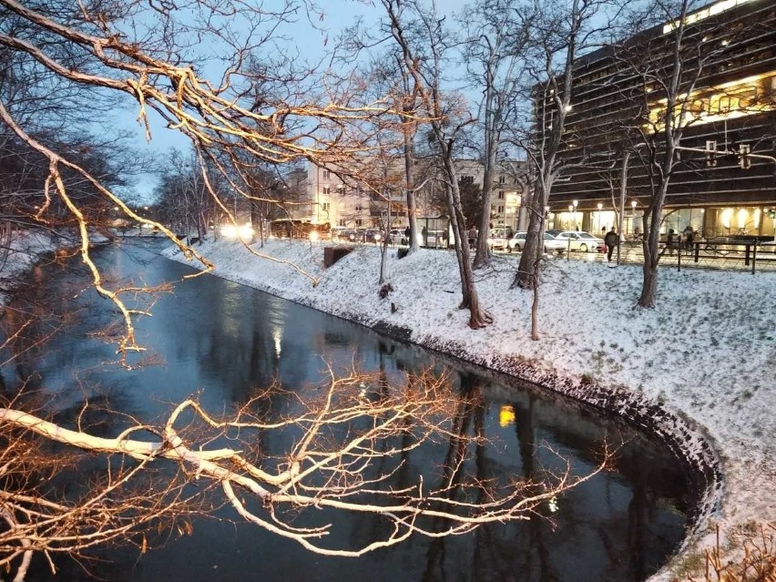 Śnieżyca we Wrocławiu. Nagła zmiana pogody i fatalna sytuacja na drogach Dolnego Śląska [ZDJĘCIA]