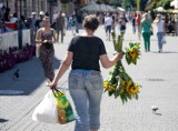 Ratusz nie zgadza się na legalny handel kwiatami ogrodowymi za Bramą Krakowską