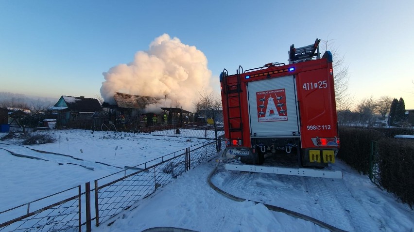 Pożar altanki w ogródkach działkowych w Sędziszowie. Z ogniem walczyły cztery zastępy strażackie