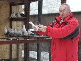 Od 20 lat hoduje gołębie ozdobne. Jego ptak podczas ogólnopolskiej wystawy zdobył mistrzostwo Polski