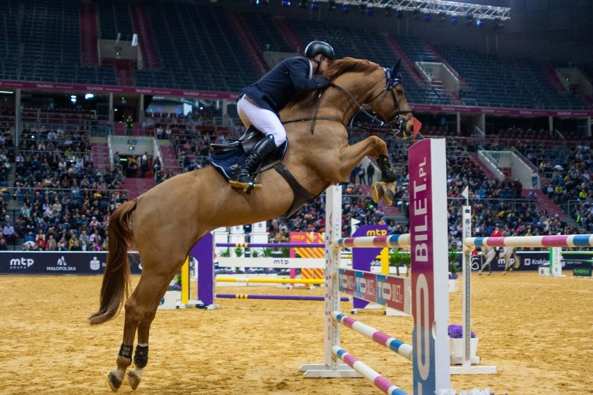 Kraków. Cavaliada w Tauron Arenie odwołana z powodu wirusa wykrytego u koni 